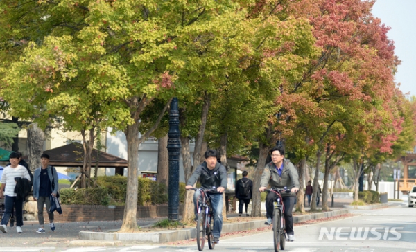 선선한 날씨가 지속된 15일 전북 전주시 덕진구 전북대학교 교정에서 푸르던 나뭇잎들이 붉게 물들기 시작하면서 가을의 완연함이 돋보이고 있다.