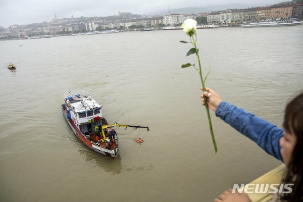 한국인 관광객 7명이 사망하고 19명이 실종된 헝가리 수도 다뉴브강에서 30일 수색활동이 펼쳐진 가운데 한 여성이 사고 지점 바로 위인 마라가렛(마르깃)교에서 꽃 한 송이를 떨어트리고 있다.