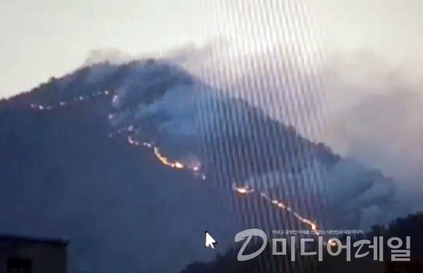 지난 4월 2일 부산 해운대구 운봉산에서 발생한 대형 산불.